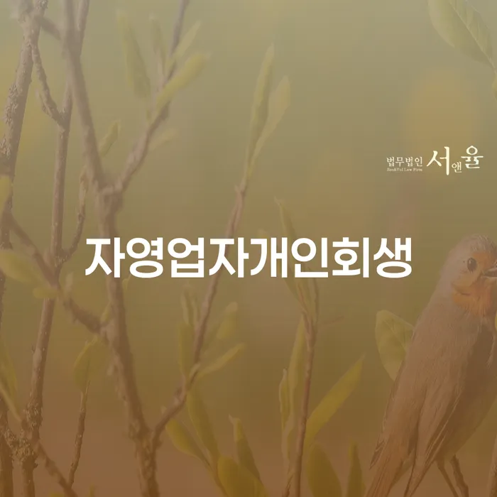 개인회생 채무 효과적인 해결방법 성향에
