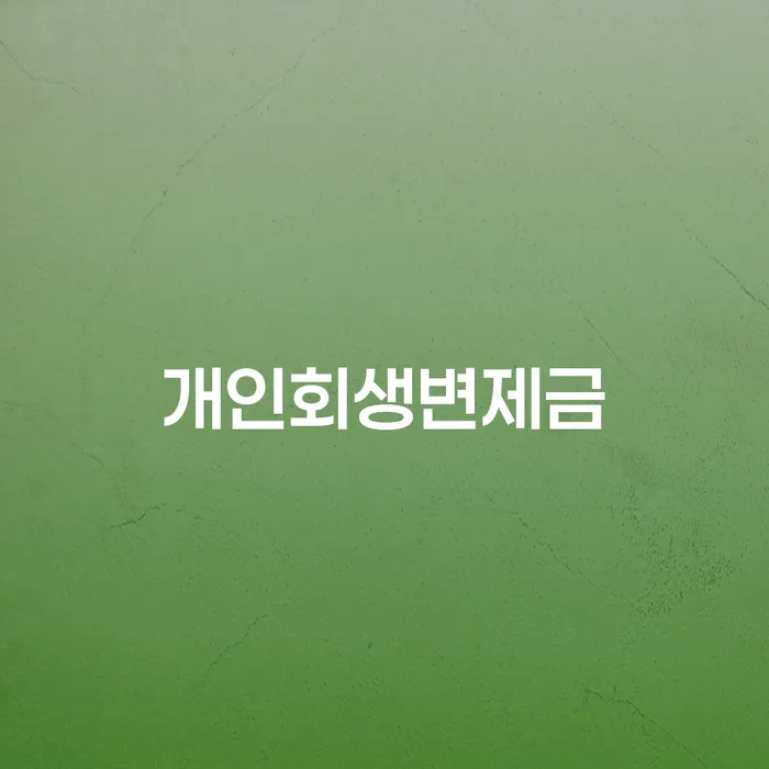 신용회복상담 개인회생으로 해결방법 확실한 진행