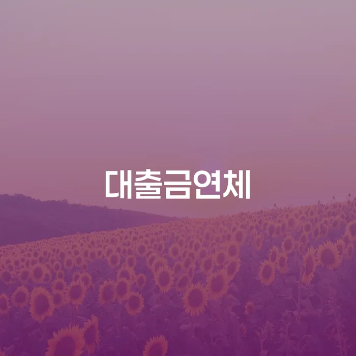 해남군 빚청산 채무조정제도을 이용하여 법무법인추천