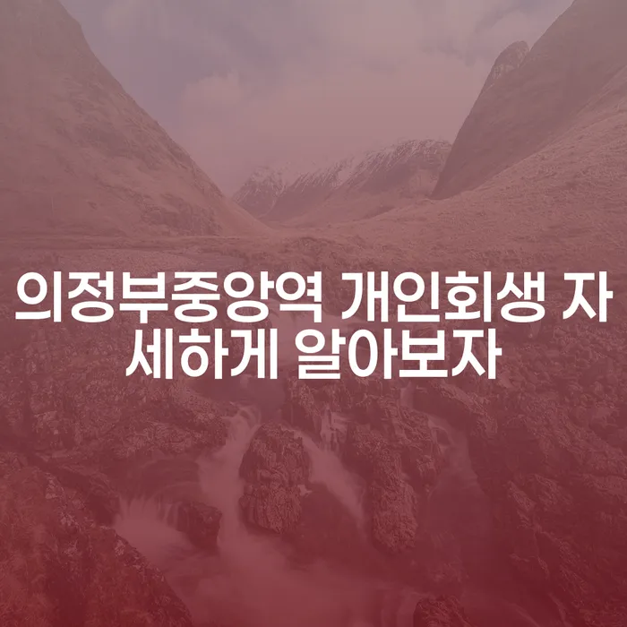 의정부중앙역 개인회생 자세하게 알아보자
