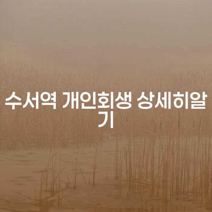 수서역 개인회생 상세히알기