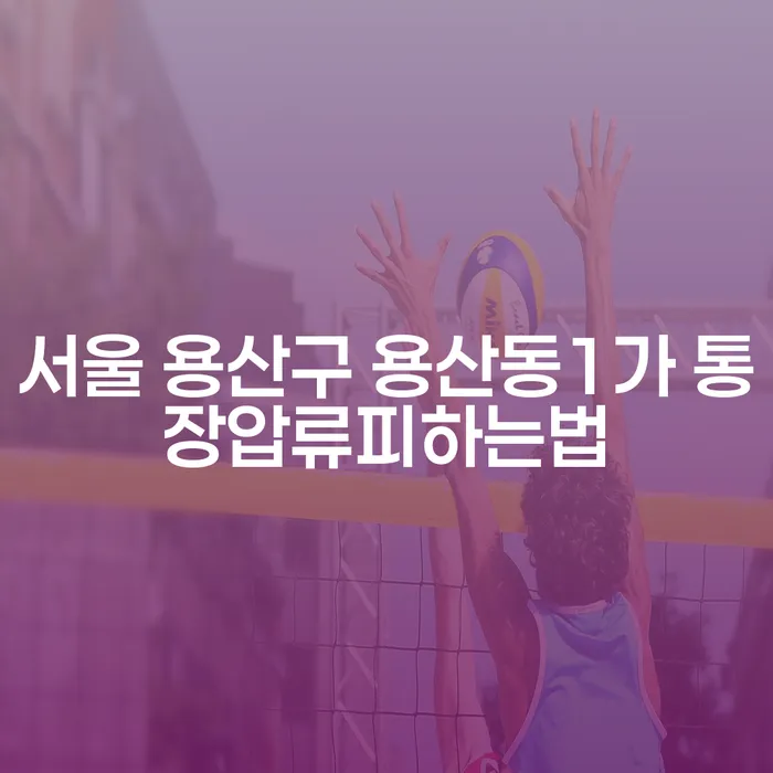 서울 용산구 용산동1가 통장압류를 피하는 법, 어떻게 해야 할까요?