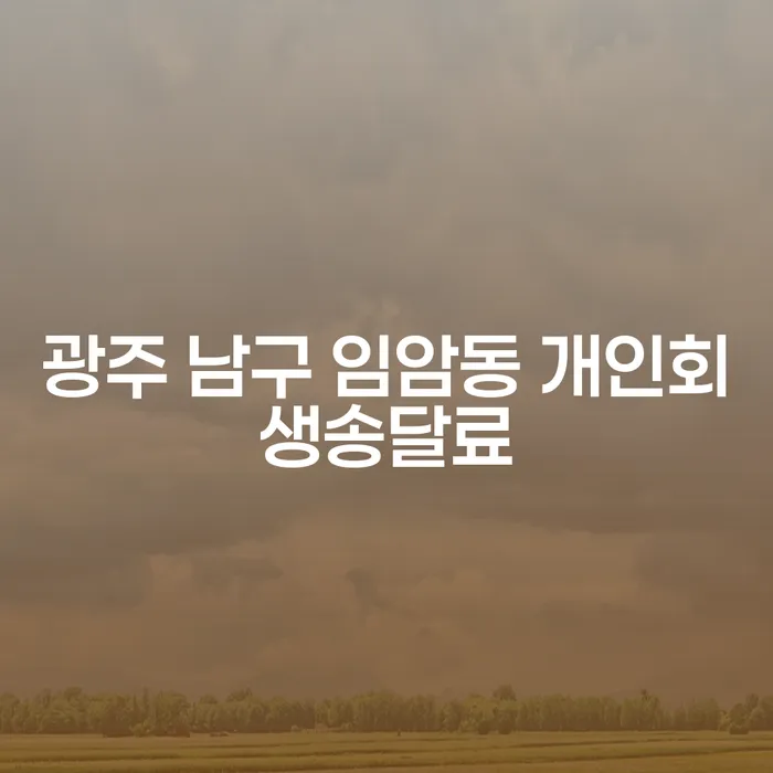 광주 남구 임암동 개인회생송달료: 채무 해결의 첫걸음
