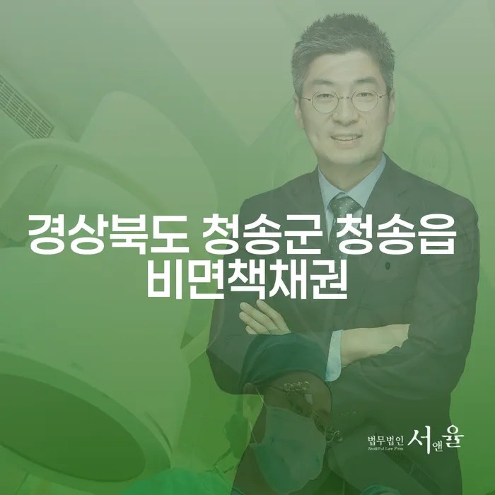 경상북도 청송군 청송읍에서 비면책채권 대처법과 개인회생월납입금 관리 전략은?