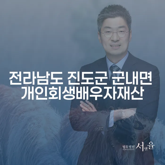 전라남도 진도군 군내면에서 개인회생과 배우자 재산 문제, 어떻게 해결할 수 있을까요?