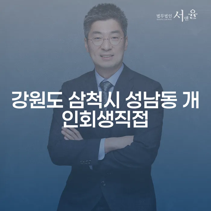 강원도 삼척시 성남동에서 개인회생을 직접 진행하려면 어떻게 해야 할까요?