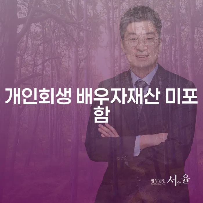 개인회생 신청 시 배우자재산이 미포함되는 이유는 무엇일까요?