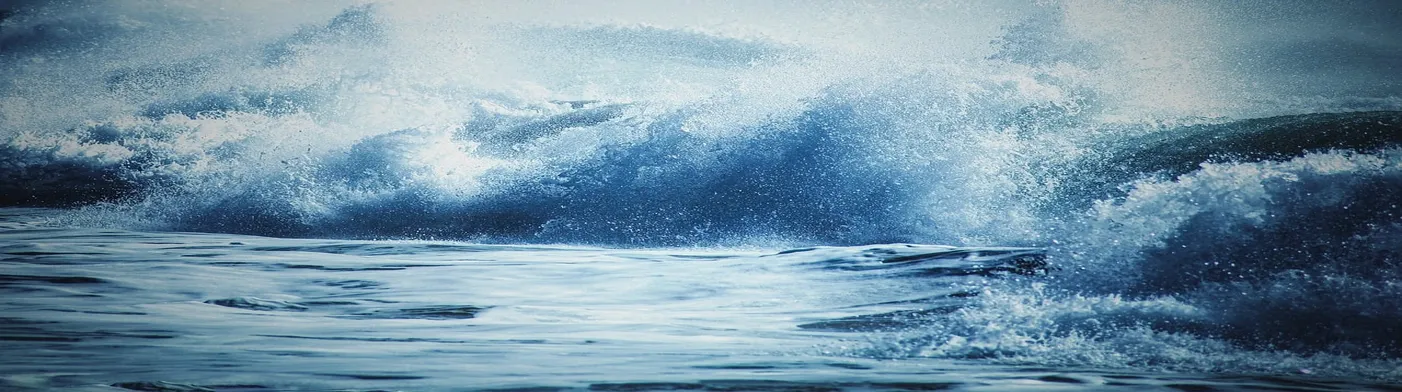 법무법인 서앤율